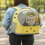 AlaPet Galaksi Kedi Taşıma Çantası (Yeni Model) Ekstra Hava Kanallı Kedi Çantası - Sarı