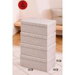ALAS 4 Adet Çok Amaçlı Baza Altı Giysi Organizer Kutu Hurç - Gri - 50x40x19