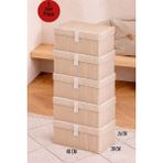 ALAS 5 Adet Çok Amaçlı Baza Altı Giysi & Yastık Mini Hurç - Kahverengi - 40x30x26
