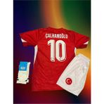 Alaturka Mix Türkiye Euro 2024 Hakan Çalhanoğlu 10 Iç Saha Çocuk Forması 3'lü Set (Red) - 4 - 6 Yaş - Kırmızı