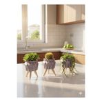 Alba Home Decor Ahşap Ayaklı Dekoratif Beton saksı Seti