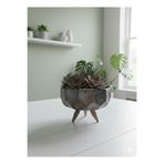 Alba Home Decor Sukulent kaktüs ahsap ayaklı saksı