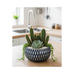 Alba Home Decor Sukulent kaktüs arajman saksı