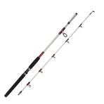 Albastar Arda 1003 240 cm 100-200G Aksiyonlu Vidalı Tekne Kamışı