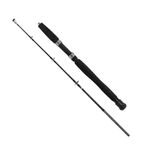 Albastar Boat 150 cm 100-200 gr Olta Kamışı