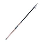 Albastar Leader 3234 300 cm Balıkçı Olta Kamışı