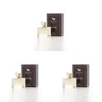 Alberto Taccini Daphne Kadın Parfümü 50 ml (3 paketi)