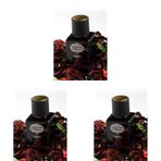 Alberto Taccini Nocturnal Kadın Parfümü 30 ml 1 Paket (1 x 30 ml) (3 paketi)