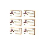 AlchemLife Alchem PhytoRelief Herbal Pastil 12 Adet X 6 Tane