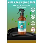ALÇİN Kedi Köpek Çiş Koku Giderici Extra Etki Kötü Koku Uzmanı Beyaz Sabun Leke Çıkarıcı