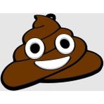 AldımGeldi Poop Emoji Anahtarlık