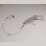 Aldos Karides Sahte Silikon Shrimp Balık Yemi Silikon Karides 7,62 cm 6,5 gr - 617