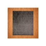 Alegra 200 x 300 Bambu Yün Halı
