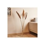 Alegre Glass Fil Ayağı Dekoratif Cam Vazo - Şeffaf - 40 cm