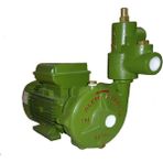 Alem Bertola Eap15 1.5Hp Monofaze Santrifüj Pompa