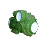 Alem Bertola Siryo 1HP Monofaze Santrifüj Pompa