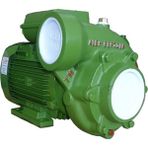 Alem Bertola Siryo-V 3HP Trifaze Santrifüj Pompa