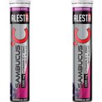 Alesta Sambucus C Vitamini 1000 Mg Zink 2 X 20 Efervesan Tablet