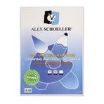 Alex Schoeller 25x35 cm 120 gr 100 Yaprak Resim Kağıdı