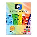 Alex Schoeller A.ftk.kgt.450.02 Fotokopi Kağıdı -renkli Karışık - A4 - 621