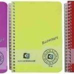 Alex Schoeller A6 Spiralli Plastik Kapak Not Defteri Çizgili 60 Yaprak Alx:229 Asorti