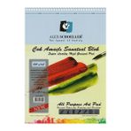 Alex Schoeller ALX-3909 A4 200 gr 20 Yaprak Spiralli Çok Amaçlı Sanatsal Bloknot