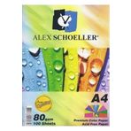 Alex Schoeller ALX779 Renkli 10 Renk 80 gr 100'lü A4 Fotokopi Kağıdı