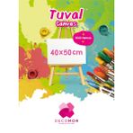 Alex Schoeller Decomor Tuval 40X50