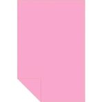 Alex Schoeller Fon Kartonu 160 Gram 25X35Cm No:10 Pembe (100 Lü Paket)