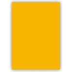 alex schoeller fon kartonu kolej serisi 50x70 cm 160 gram (gold) altin sarı tekli (1 adet) - Yok