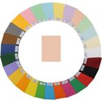 Alex Schoeller Kolej Fon Kartonu 160 gr. 50x70 cm. 100'lü Paket Somon