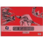 Alex Schoeller Resim Defteri - 35 x 50 - 120 gr - 25 Sayfa