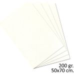Alex Schoeller Teknik Resim Kagidi 200 Gr. 50X70 Cm. 10 Adet