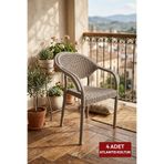 Alezy Atlantis Rattan Kollu Plastik Koltuk 4 Adet Cappucino