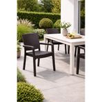 Alezy HK730 Troya Rattan Desenli Plastik Bahçe Balkon Koltuk Kahverengi