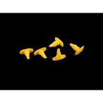 ALFA AKSESUAR 03 Daıhatsu-Hundaı-Mazda-Subaru-Toyota Toz Fitil Klipsi Sarı 20 Adet Yk 2401 OEM82132-22100