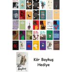 Alfa Yayınları 35 Kitaplık Türk Edebiyatı Seti + Çim Adam - Hayır