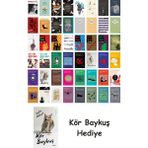 Alfa Yayınları 48 Kitaplık Türk Edebiyatı Seti + Çim Adam - Hayır