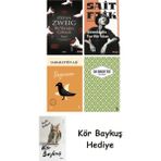 Alfa Yayınları Bir Yüreğin Çöküşü + Alemdağda Var Bir Yılan + Değirmen + Yaslı Mızıka + Kör Baykuş - Hayır