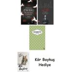 Alfa Yayınları Bir Yüreğin Çöküşü + Nat Tate + Yaslı Mızıka + Kör Baykuş - Hayır