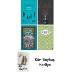 Alfa Yayınları Falaka ve Diğer Öyküler + Nat Tate + Zacharius Usta + Yaslı Mızıka + Kör Baykuş - Hayır