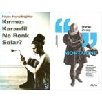 Alfa Yayınları Kırmızı Karanfil Ne Renk Solar? + Montaigne - Hayır