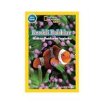 Alfa Yayınları Renkli Balıklar: National Geographic Kids - Okul Öncesi (Kapak Değişebilir) + Beden: Bir Kullanıcı Kılavuzu