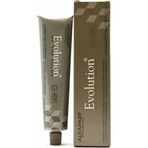 Alfaparf Evolution Spa Color 60 ml No:10.1 En Açık Sarı Küllü Kumral Saç Boyası