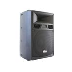 Alfon AFPS-3415 15 inç 38 cm 600W Pasif Kabin Hoparlör
