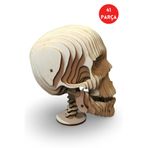 ALGWOOD 3 Boyutlu Anatomical Skull Ahşap Maket – 41 Parça Lazer Kesim Koleksiyon Modeli