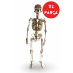 ALGWOOD Ahşap İnsan İskeleti Maketi | 112 Parça 3D Puzzle Hobi Seti - Anatomik Ahşap İskelet 3D Puzzle