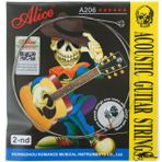 Alice A2062 2 Numara Akustik Gitar Teli