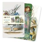 Alice in Wonderland Set of 3 Mini Notebooks