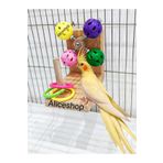 aliceshop Sultan Sevda Cennet Papağanı Muhabbet Kuşu Zilli Toplu Döner Oyun Platformu